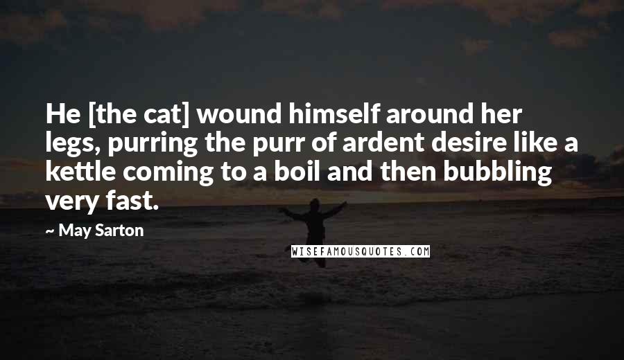 May Sarton Quotes: He [the cat] wound himself around her legs, purring the purr of ardent desire like a kettle coming to a boil and then bubbling very fast.