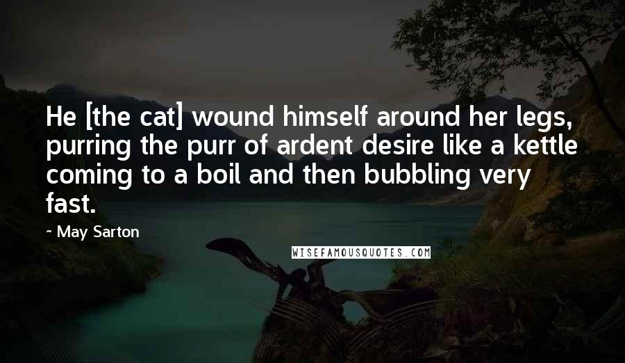 May Sarton Quotes: He [the cat] wound himself around her legs, purring the purr of ardent desire like a kettle coming to a boil and then bubbling very fast.