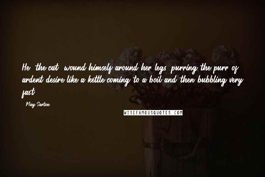 May Sarton Quotes: He [the cat] wound himself around her legs, purring the purr of ardent desire like a kettle coming to a boil and then bubbling very fast.