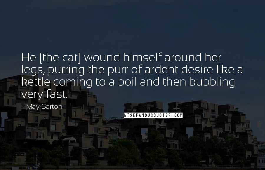 May Sarton Quotes: He [the cat] wound himself around her legs, purring the purr of ardent desire like a kettle coming to a boil and then bubbling very fast.