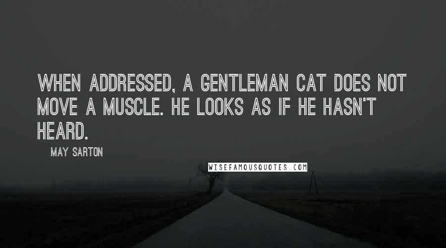 May Sarton Quotes: When addressed, a Gentleman Cat does not move a muscle. He looks as if he hasn't heard.