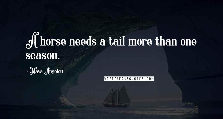 Maya Angelou Quotes: A horse needs a tail more than one season.