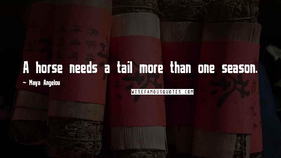 Maya Angelou Quotes: A horse needs a tail more than one season.