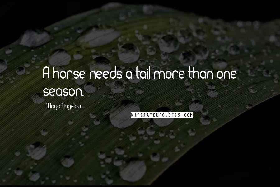 Maya Angelou Quotes: A horse needs a tail more than one season.