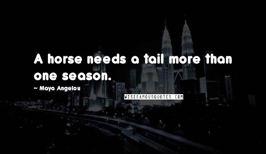 Maya Angelou Quotes: A horse needs a tail more than one season.