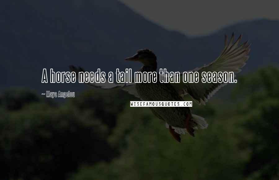 Maya Angelou Quotes: A horse needs a tail more than one season.