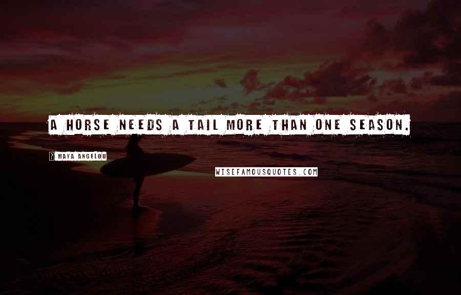 Maya Angelou Quotes: A horse needs a tail more than one season.
