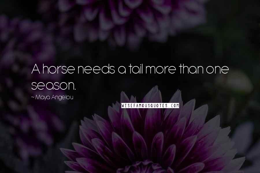 Maya Angelou Quotes: A horse needs a tail more than one season.