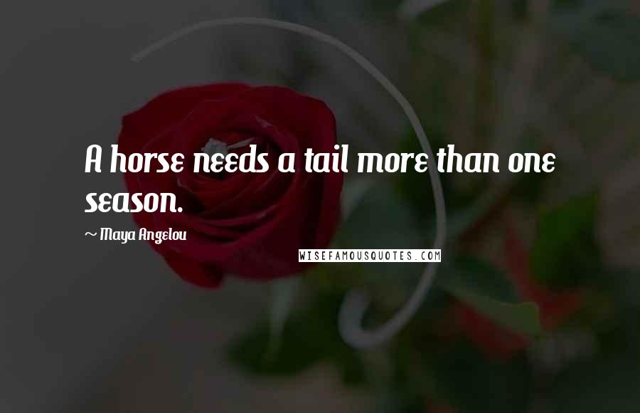 Maya Angelou Quotes: A horse needs a tail more than one season.