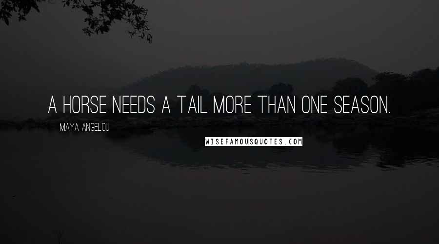 Maya Angelou Quotes: A horse needs a tail more than one season.