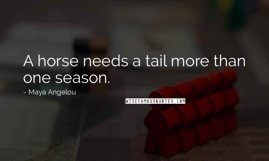 Maya Angelou Quotes: A horse needs a tail more than one season.