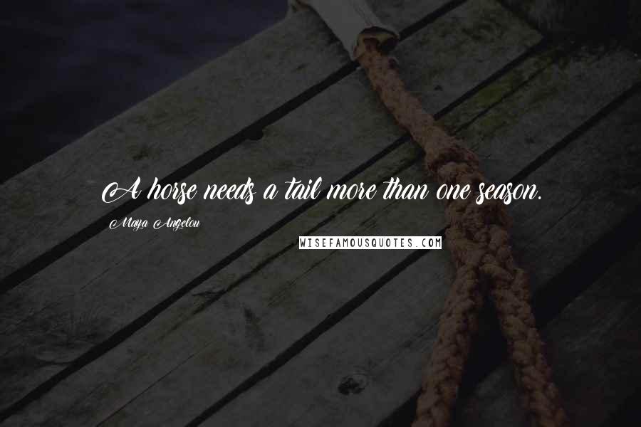 Maya Angelou Quotes: A horse needs a tail more than one season.