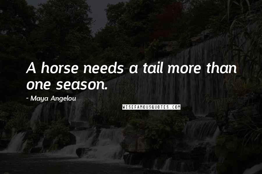 Maya Angelou Quotes: A horse needs a tail more than one season.