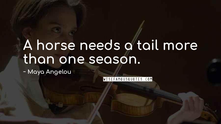 Maya Angelou Quotes: A horse needs a tail more than one season.