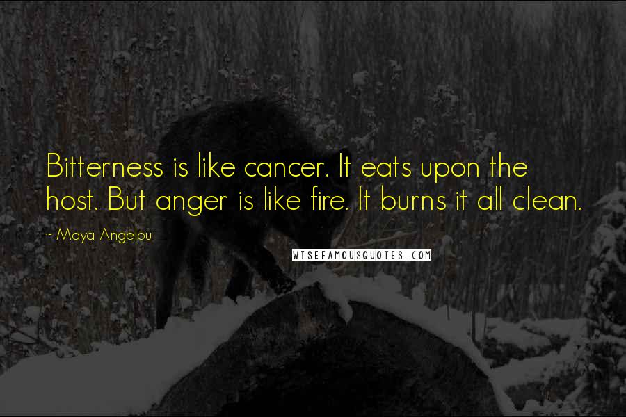 Maya Angelou Quotes: Bitterness is like cancer. It eats upon the host. But anger is like fire. It burns it all clean.
