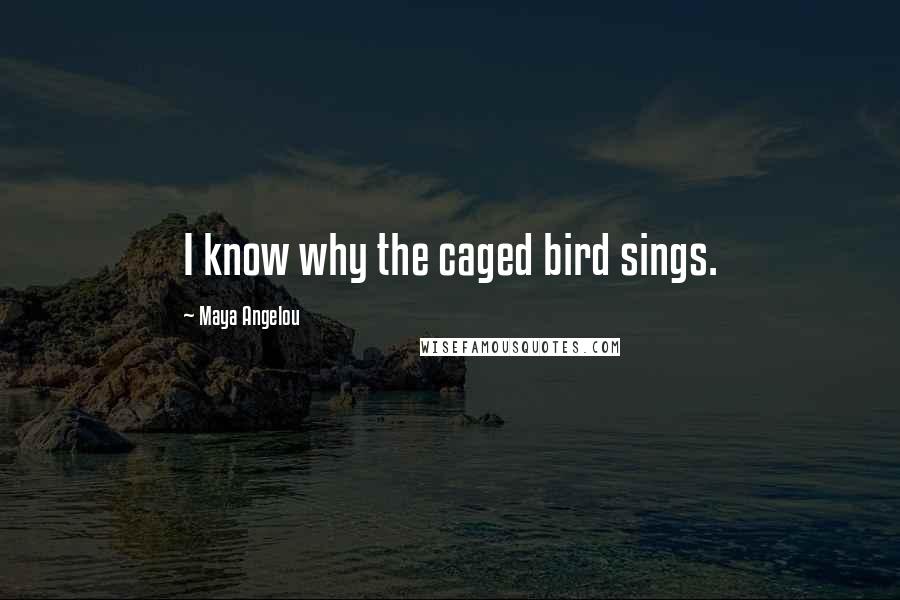 Maya Angelou Quotes: I know why the caged bird sings.