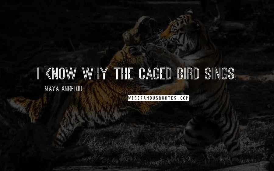 Maya Angelou Quotes: I know why the caged bird sings.