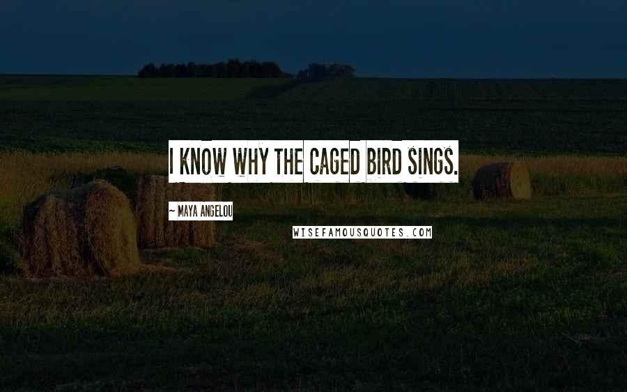 Maya Angelou Quotes: I know why the caged bird sings.