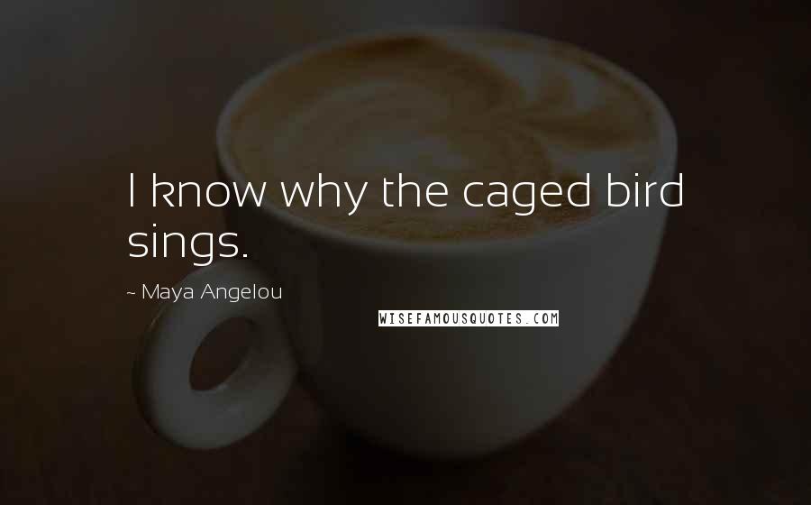 Maya Angelou Quotes: I know why the caged bird sings.