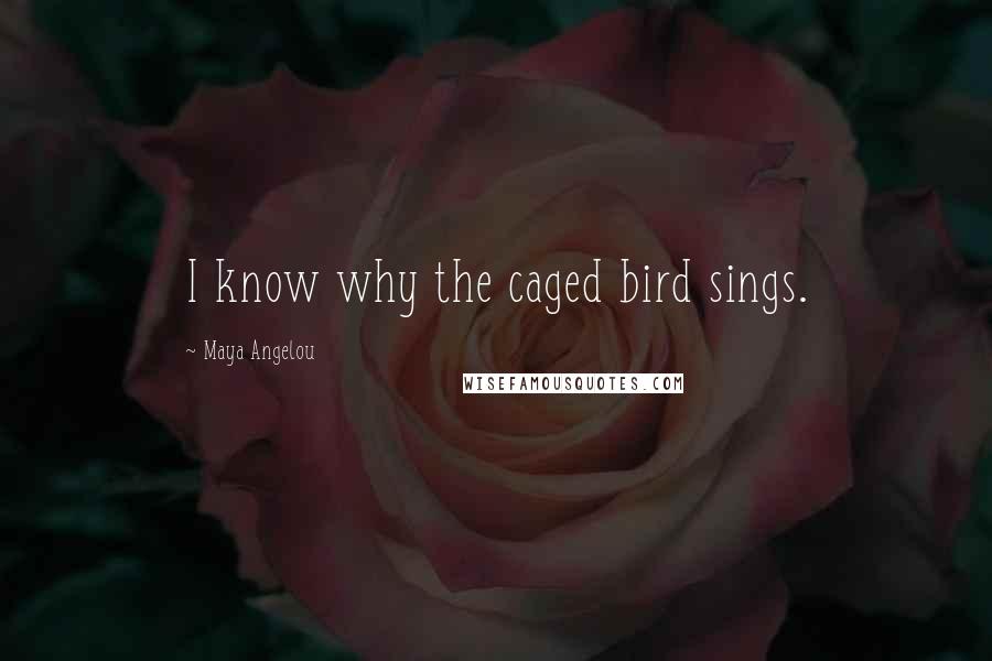 Maya Angelou Quotes: I know why the caged bird sings.