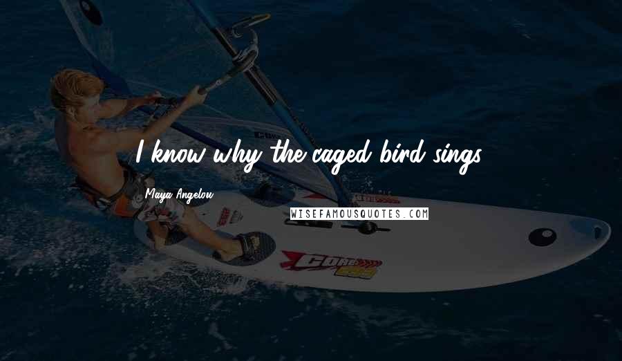 Maya Angelou Quotes: I know why the caged bird sings.