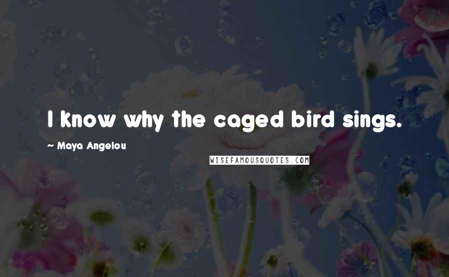 Maya Angelou Quotes: I know why the caged bird sings.