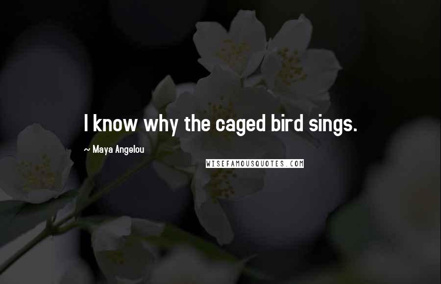 Maya Angelou Quotes: I know why the caged bird sings.