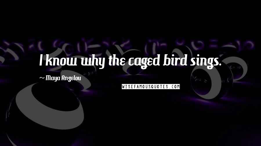 Maya Angelou Quotes: I know why the caged bird sings.