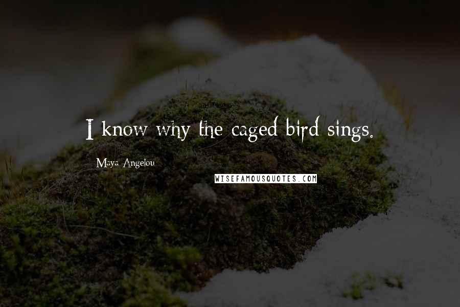 Maya Angelou Quotes: I know why the caged bird sings.