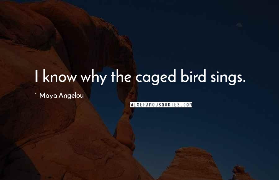 Maya Angelou Quotes: I know why the caged bird sings.