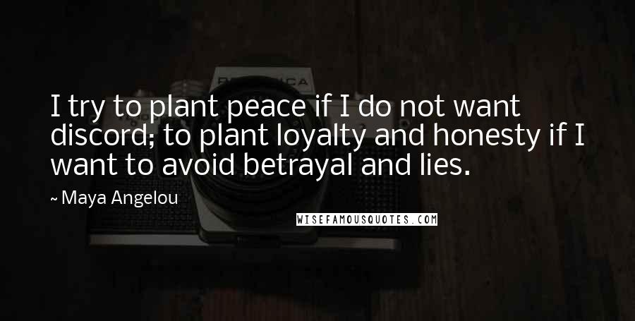 Maya Angelou Quotes: I try to plant peace if I do not want discord; to plant loyalty and honesty if I want to avoid betrayal and lies.