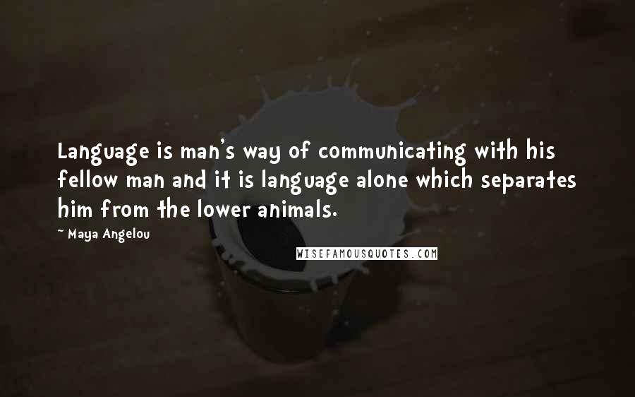 Maya Angelou Quotes: Language is man's way of communicating with his fellow man and it is language alone which separates him from the lower animals.