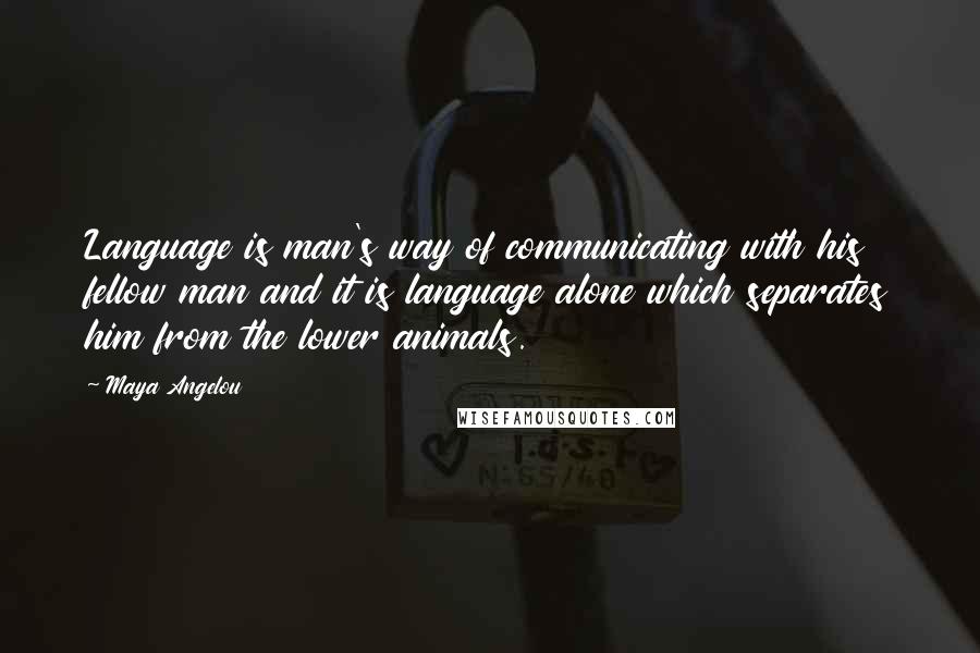 Maya Angelou Quotes: Language is man's way of communicating with his fellow man and it is language alone which separates him from the lower animals.