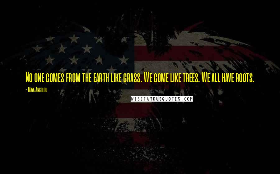 Maya Angelou Quotes: No one comes from the earth like grass. We come like trees. We all have roots.