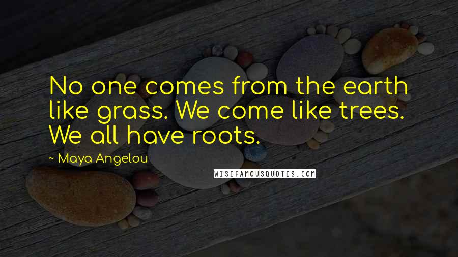 Maya Angelou Quotes: No one comes from the earth like grass. We come like trees. We all have roots.