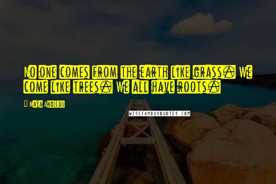 Maya Angelou Quotes: No one comes from the earth like grass. We come like trees. We all have roots.