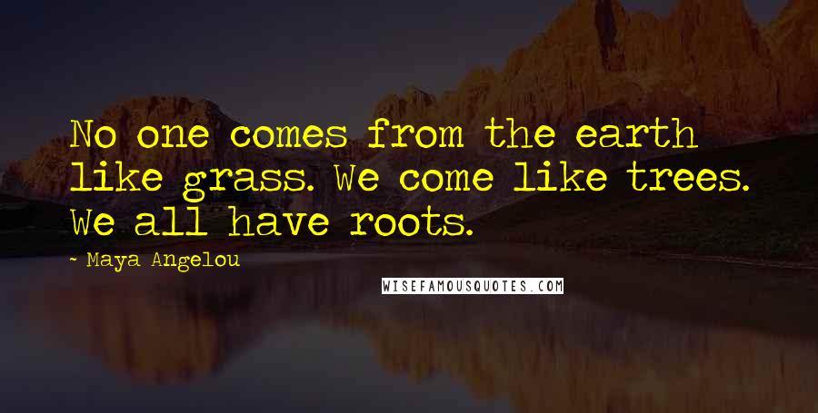 Maya Angelou Quotes: No one comes from the earth like grass. We come like trees. We all have roots.