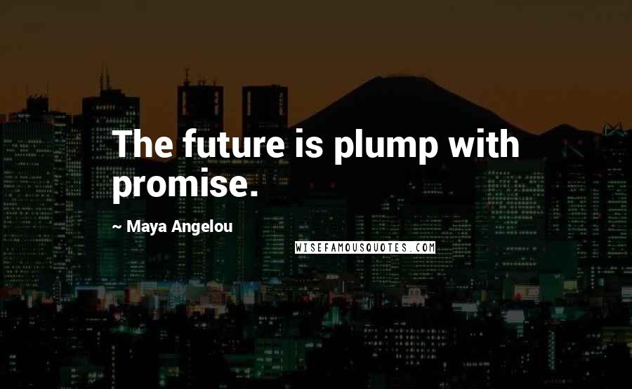 Maya Angelou Quotes: The future is plump with promise.
