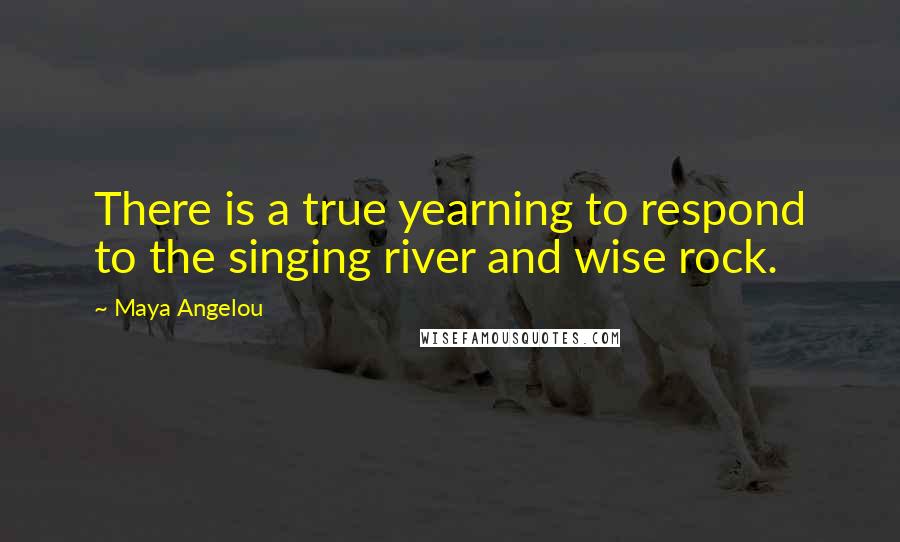 Maya Angelou Quotes: There is a true yearning to respond to the singing river and wise rock.