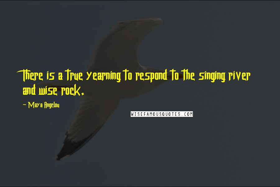 Maya Angelou Quotes: There is a true yearning to respond to the singing river and wise rock.