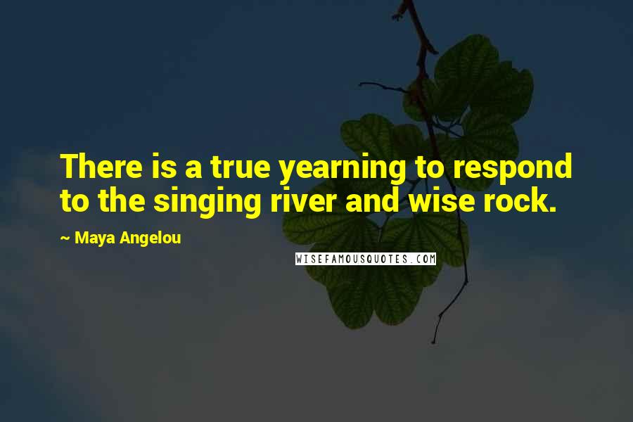 Maya Angelou Quotes: There is a true yearning to respond to the singing river and wise rock.