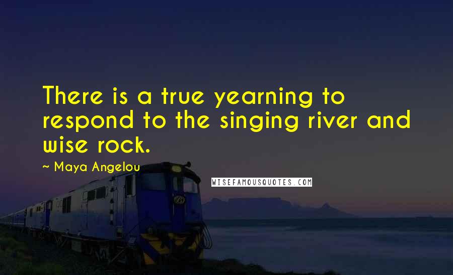 Maya Angelou Quotes: There is a true yearning to respond to the singing river and wise rock.