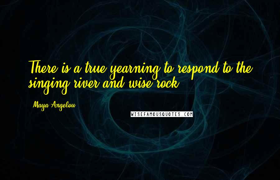 Maya Angelou Quotes: There is a true yearning to respond to the singing river and wise rock.