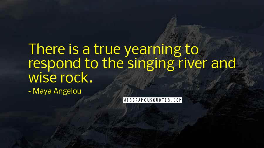 Maya Angelou Quotes: There is a true yearning to respond to the singing river and wise rock.