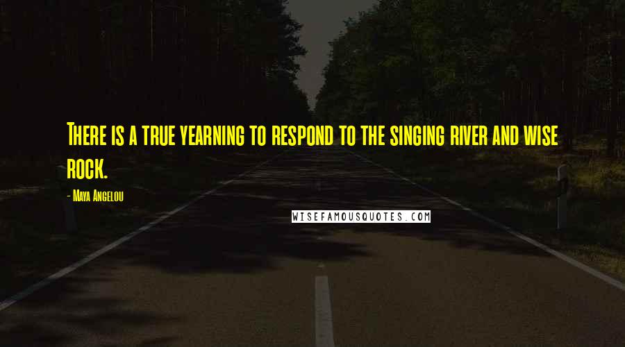 Maya Angelou Quotes: There is a true yearning to respond to the singing river and wise rock.