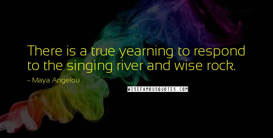 Maya Angelou Quotes: There is a true yearning to respond to the singing river and wise rock.