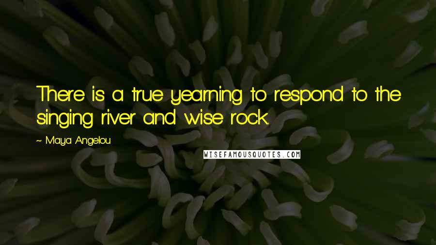 Maya Angelou Quotes: There is a true yearning to respond to the singing river and wise rock.