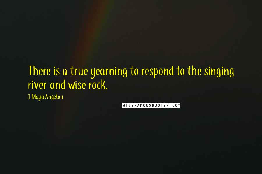 Maya Angelou Quotes: There is a true yearning to respond to the singing river and wise rock.