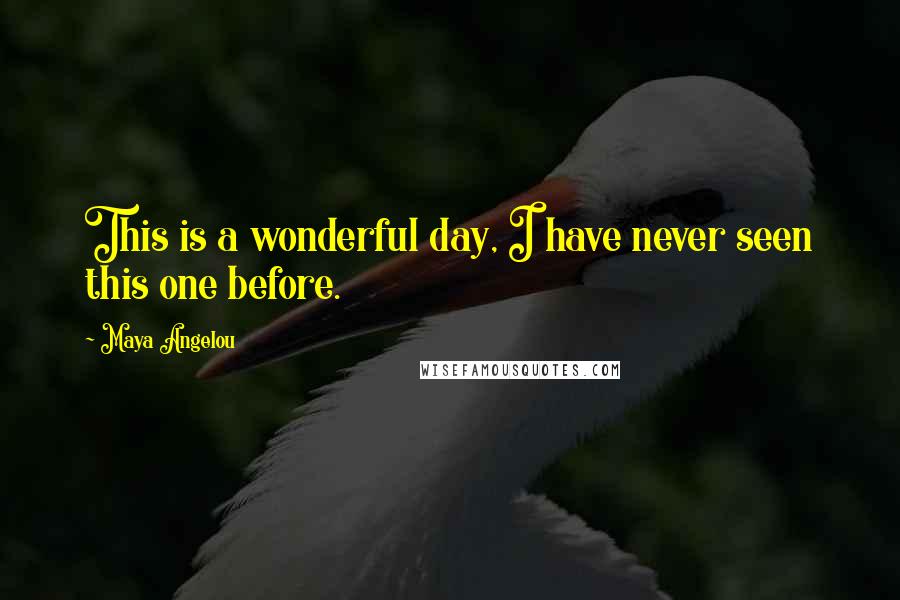 Maya Angelou Quotes: This is a wonderful day, I have never seen this one before.