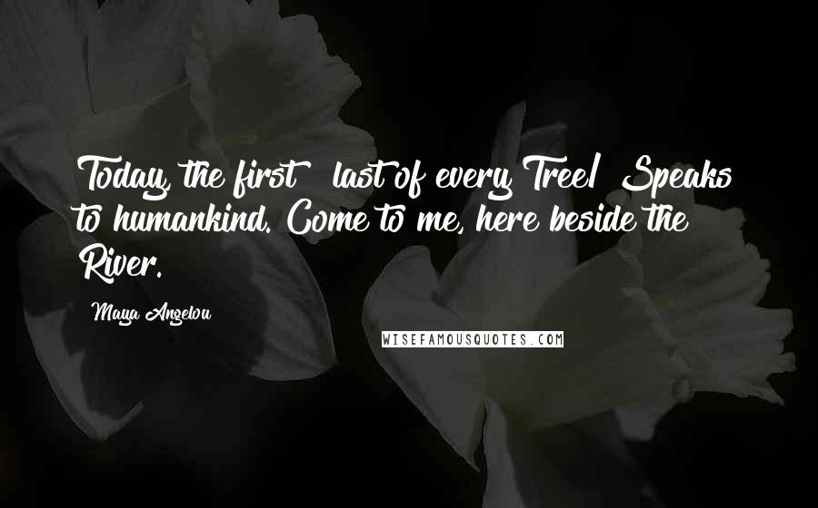 Maya Angelou Quotes: Today, the first & last of every Tree/ Speaks to humankind. Come to me, here beside the River.